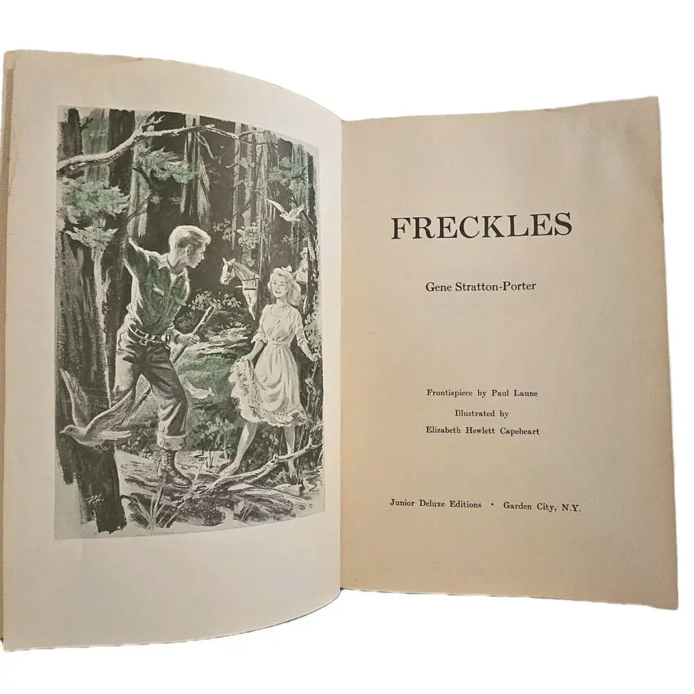 Freckles Gene Stratton-Porter 1904 Hardcover Grosset Dunlap Antique Book Fiction